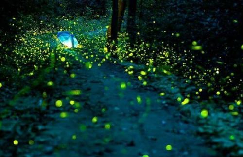 夏天夜晚的景色的句子文案