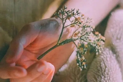 从伤心中走出来的句子文案