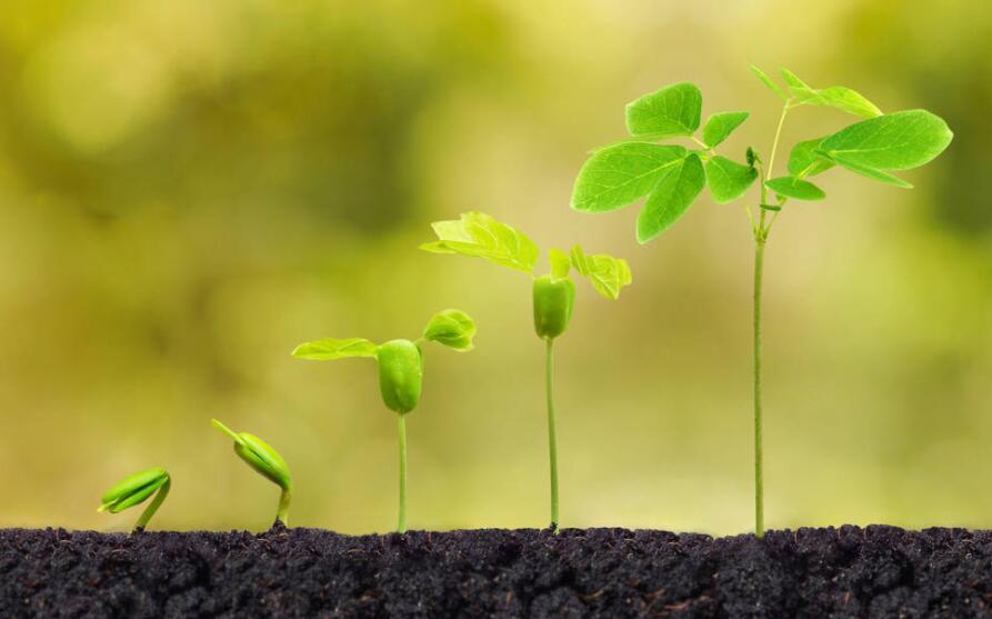 难过失落的句子文案