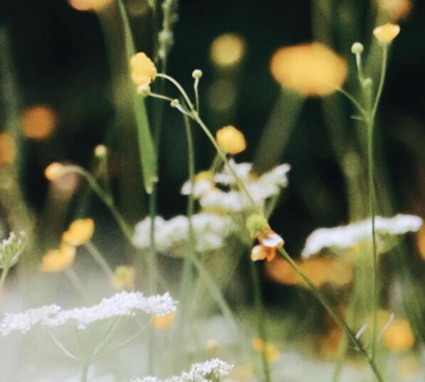 描写春天的一段话