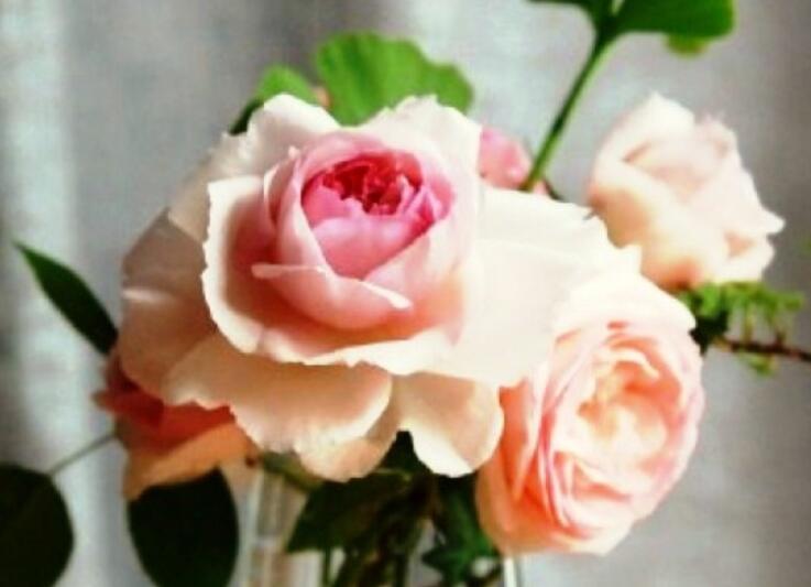 对朋友的短句问候