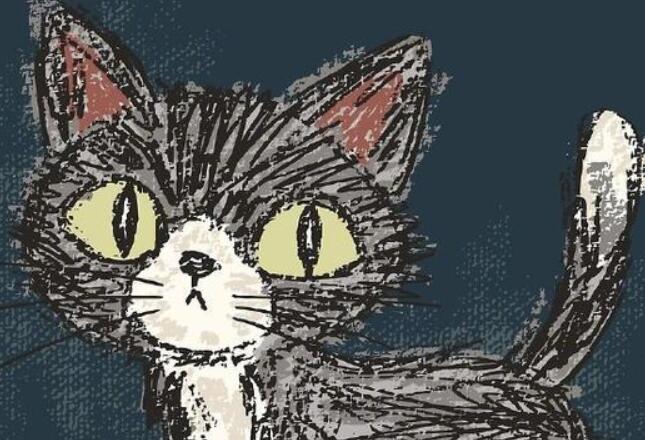 突然有点失落感说说文案