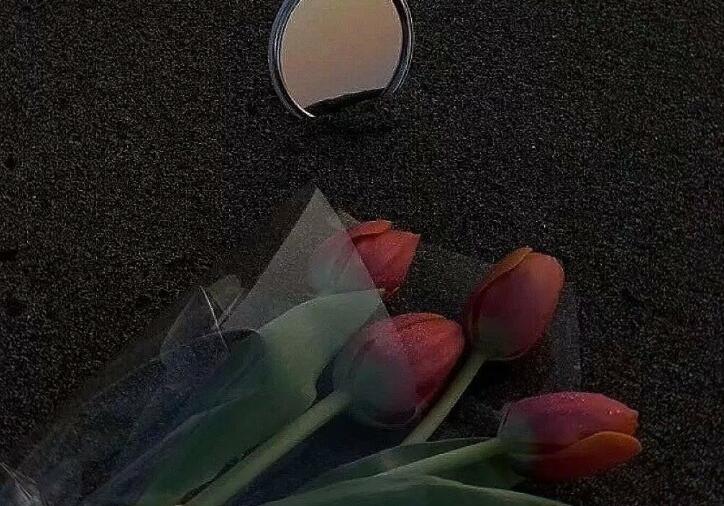 形容周末生活的经典语录文案