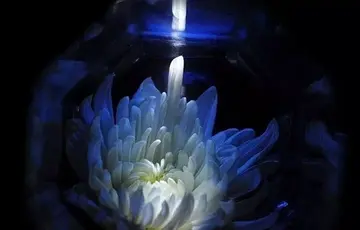 家里长辈去世朋友圈