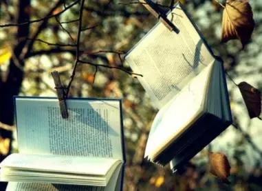 感叹自己没文化的说说文案