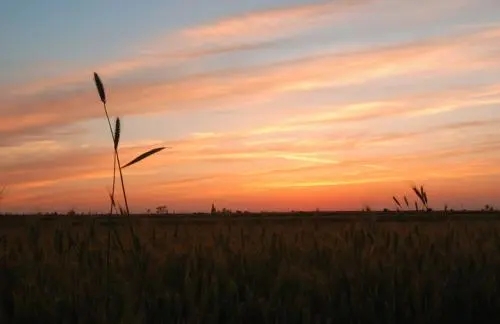 发老家风景的说说文案