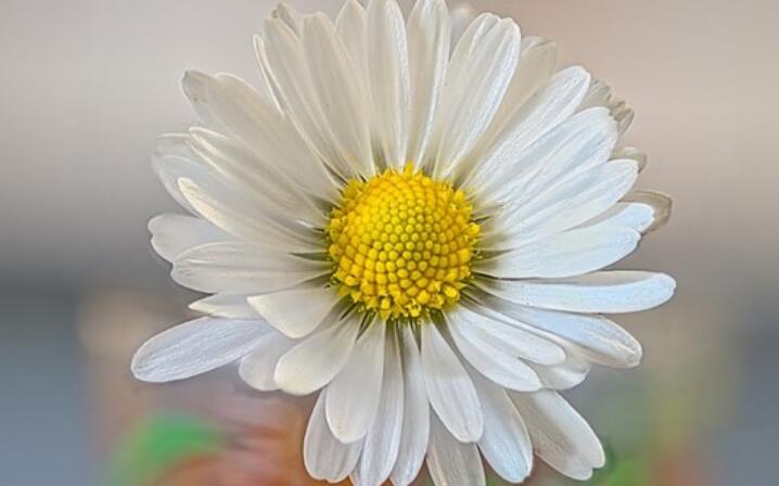 早安致自己励志句子文案