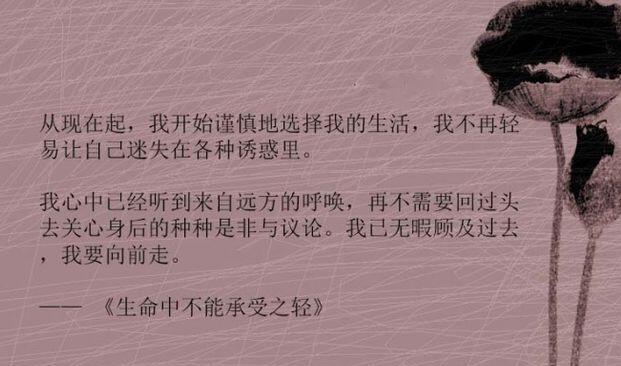 名著优美的句子文案摘抄