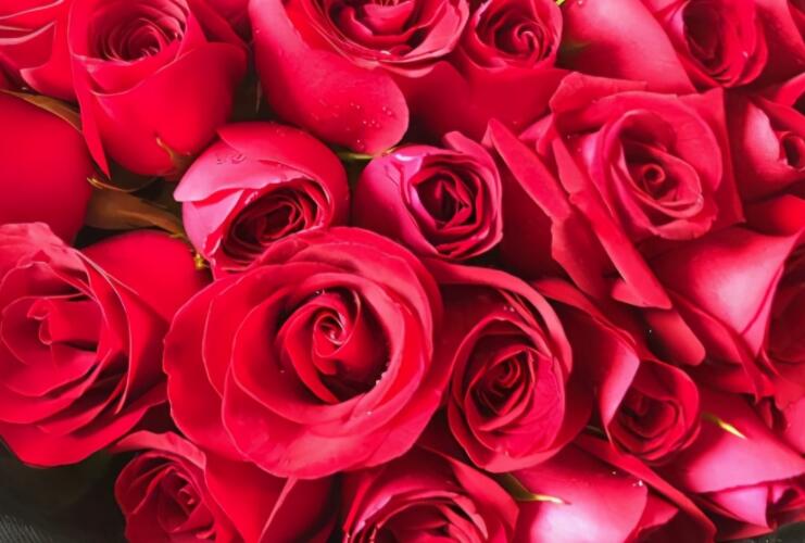 女神节发朋友圈祝福语