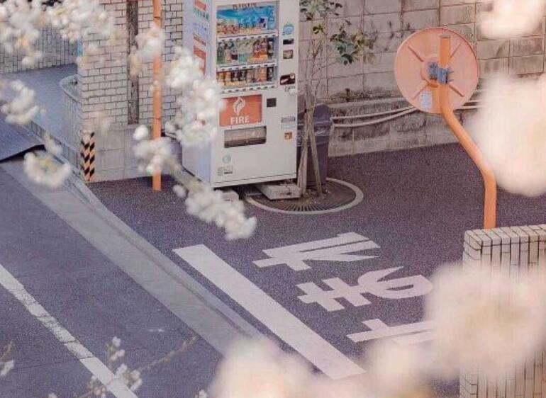 有关写景的好段摘抄大全