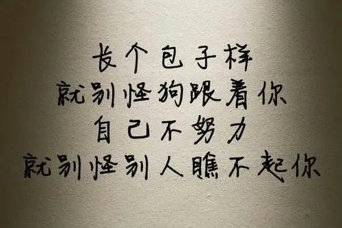 送给瞧不起我的人的话