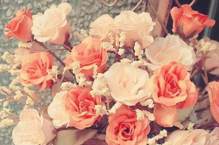 早上祝福语大全暖心2024