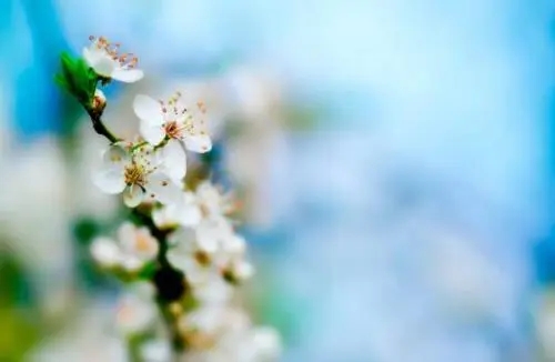 很美很仙的句子文案