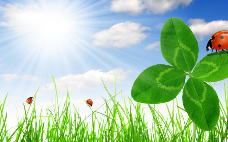 鼓励励志的话简短