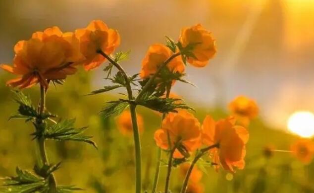 女生超拽霸气冷酷签名