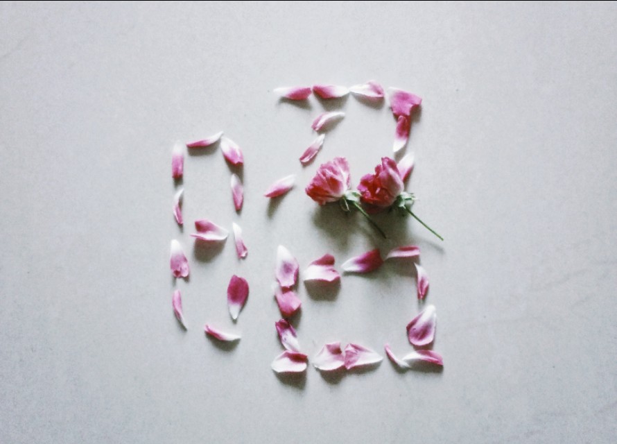 王昭君的经典语录文案