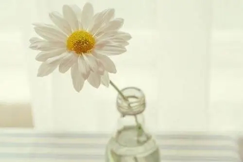 感悟生活的心情说说文案