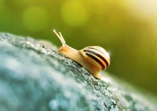 50句优美句子文案短句