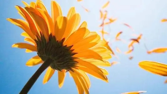 二次元正能量句子文案