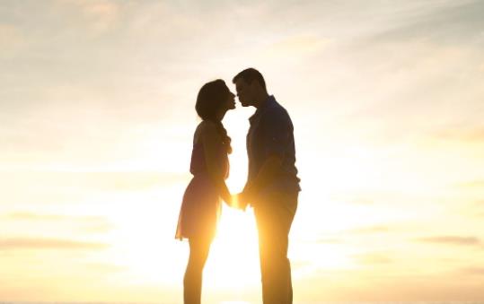 关于努力的心灵鸡汤的文章