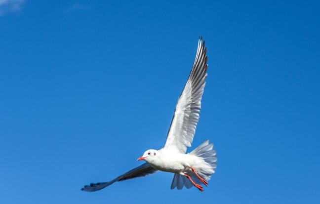 人生向上的美好句子文案
