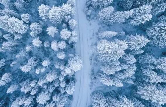 描写大雪的优美句子文案