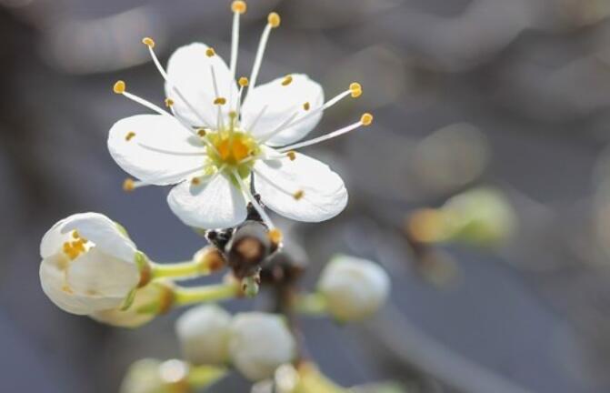 人品的语录文案
