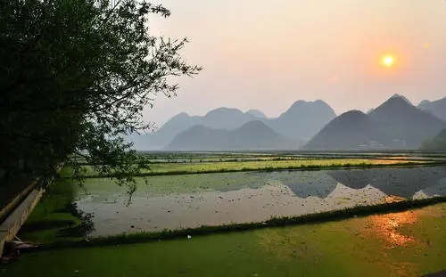 家乡的美景一段话