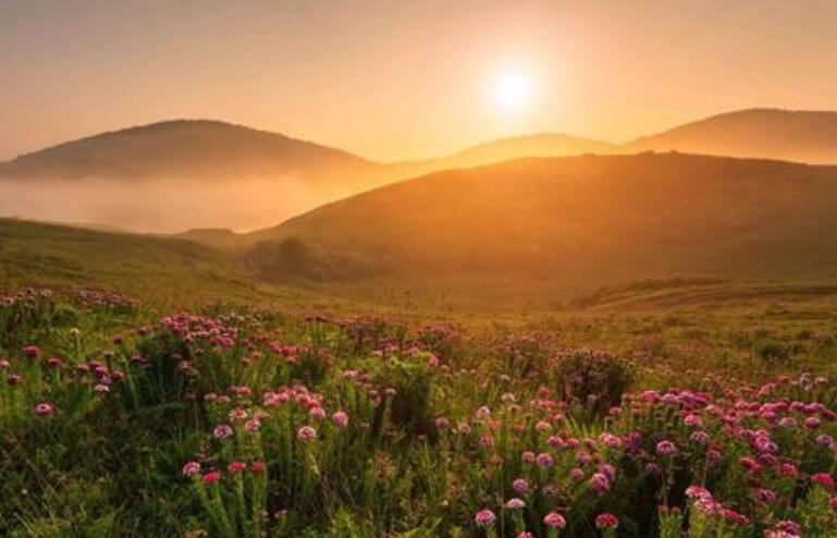 描写心境超脱的诗句文案