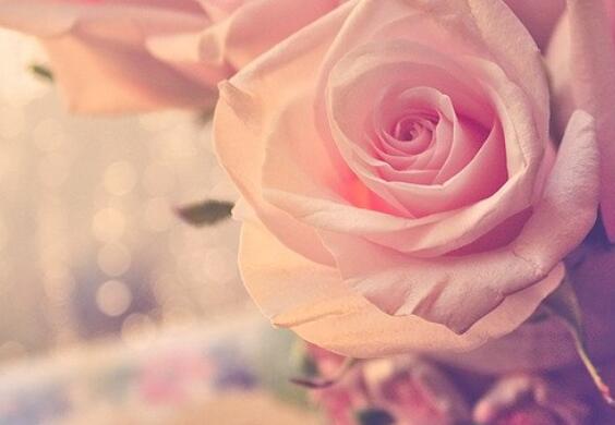 暧昧的句子文案