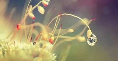 致自己好心情哲理短句