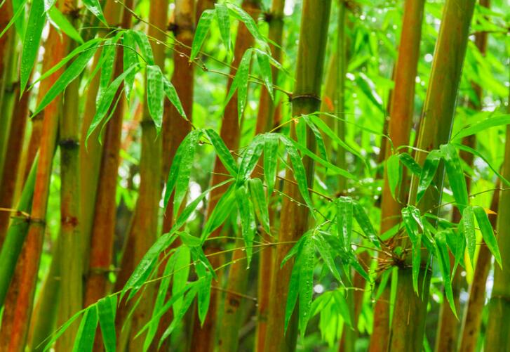 表示凉爽的诗句文案