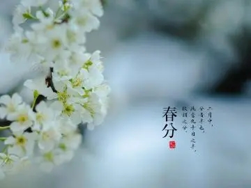 春暖花开的心情短语