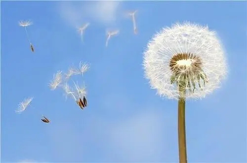 明天和意外完整句子文案