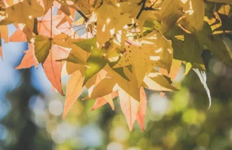 内在精神的句子文案