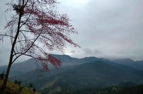 想家乡了发朋友圈的句子文案简短