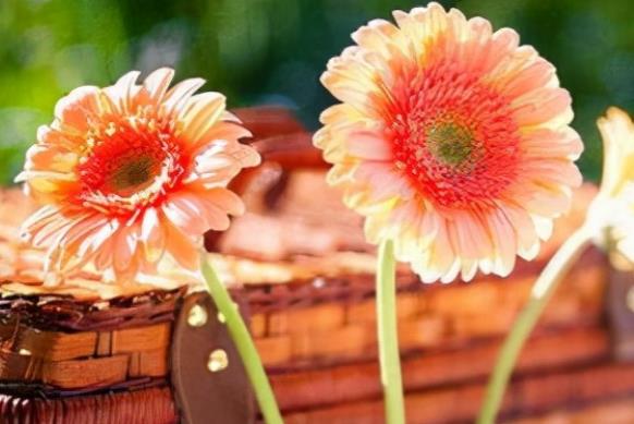 早上幽默的问候语