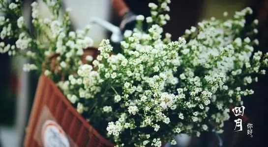 关于4月的唯美句子文案