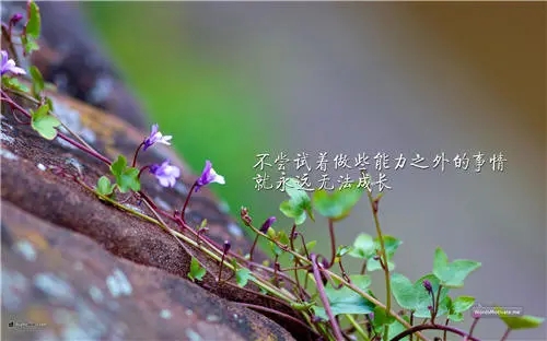 有哲理给人启发的句子文案