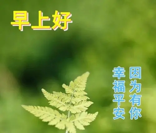 早上好语句文案连图片