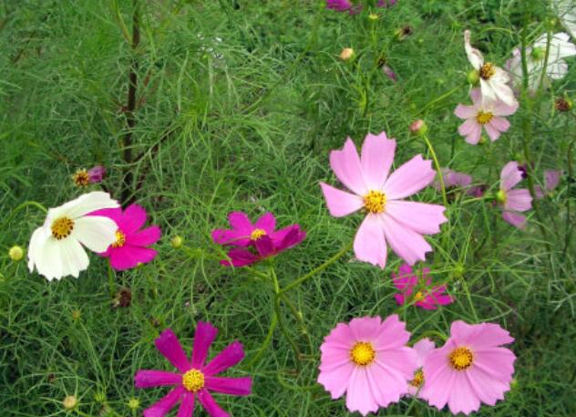 清闲的幽默句子文案说说心情