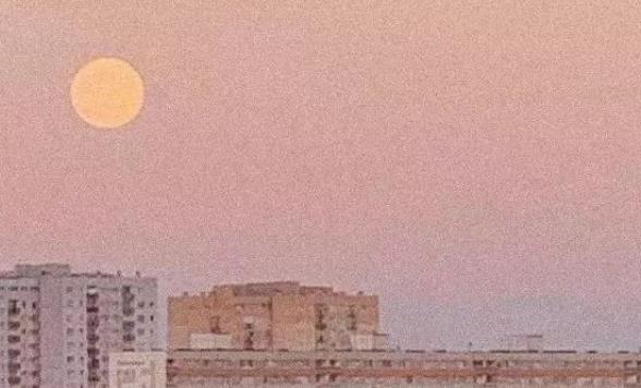 名人情感语录文案