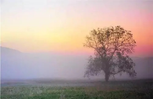 关于写景诗意的唯美句子文案