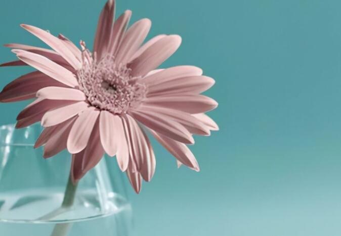 发个最伤感的说说文案怎么发