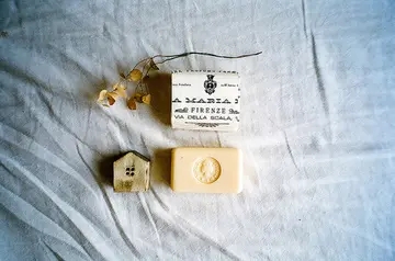 讽刺人无知的句子文案