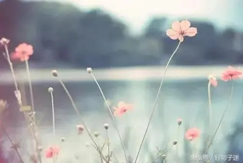 最有深度犀利的句子文案