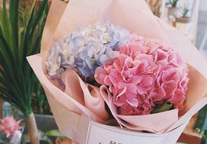 关于爱的好词好句文案好段