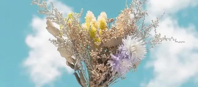 一抹小清新对应的句子文案