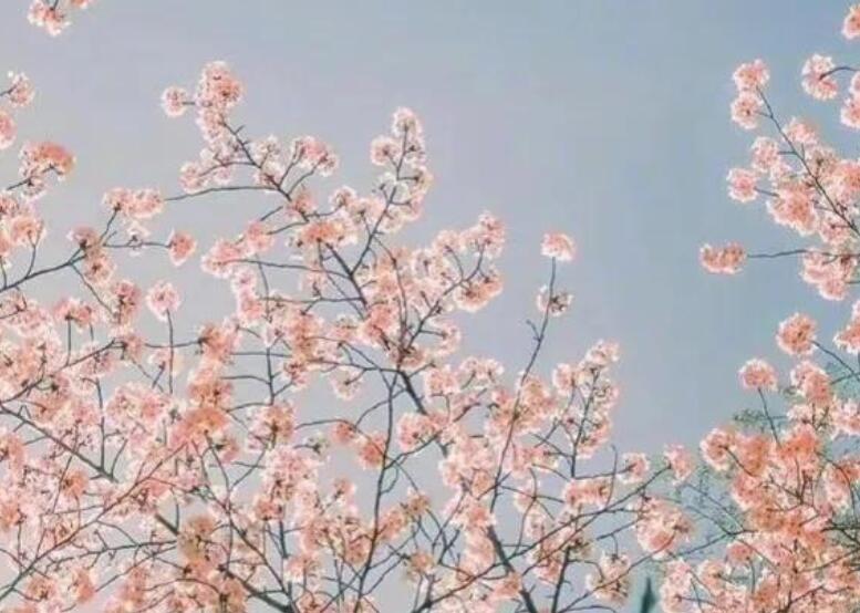 四年级好句文案摘抄