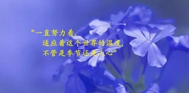 励志短句及配图